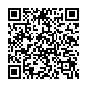 食脑兽的无数的触手直接被龙傲天硬生生的斩断二维码生成