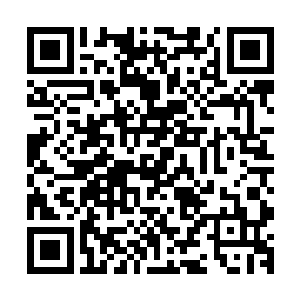 首先你们找个合法的组织帮你们来运作这场业余比赛就没问题二维码生成