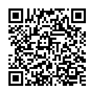 首先我谨代表我们宿舍全体同仁对于各位的到来表示忠心的感谢二维码生成