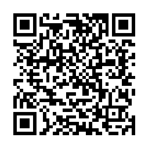 首先那对拉斐尔这个年轻人来说丝毫非常不公平和残酷的二维码生成
