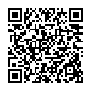 首次遭遇针对性轰炸的高扬不由自主的心慌不已二维码生成