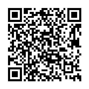 首长下令要对巴黎夜语的涉黑涉黄人员进行严惩二维码生成