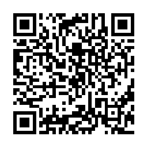 马上找把枪来实验一下这种神乎其神的战斗方式是否可行了二维码生成