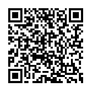 马伯庸竟然还有其他宝物护身……这一门的修者二维码生成