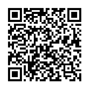 马加特和球队的体能教练洛伊特哈德开始根据体测报告二维码生成