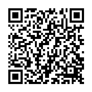 马图伊迪受伤下场对曼城的影响很快就体现出来了二维码生成