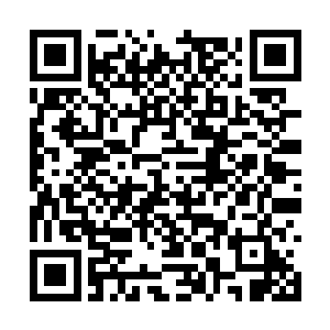 马大眼的眼睛突然停留在对面办公楼的某扇窗户上二维码生成