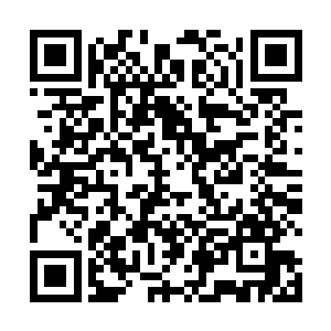 马文的脑海里闪过万千关于星兽和最终星界等位面知识二维码生成