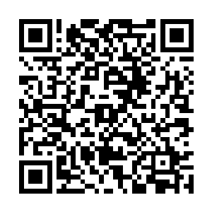 马斯切拉诺趁着斯科特尔让荣光踉跄了一下的机会二维码生成