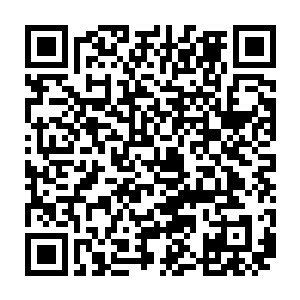马纵横以及鬼神军的将士似乎都没想到连吃败仗的曹魏军竟有这般士气和血性二维码生成