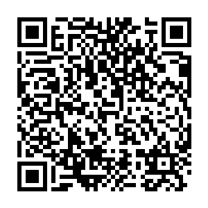 马里奥一直都在忙着跟科莱昂家族的罗伯托联手对付萨维亚诺家族二维码生成