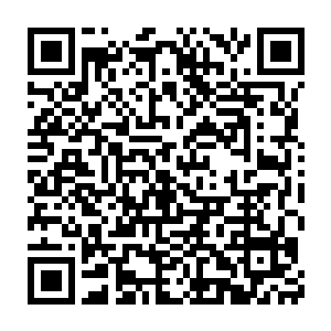 马里奥坐上意大利黑手党11人委员会教父的位置已经是铁板上的钉子二维码生成