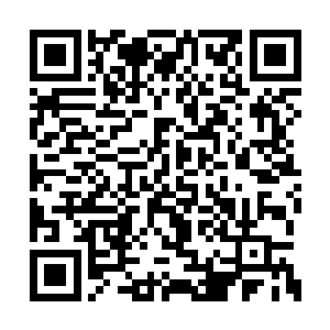 马里奥见斯科拉支支吾吾半天连句话都讲不利索二维码生成