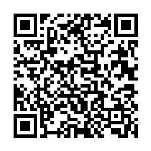 骂我和清凉山或者是北凉都护府调度不当和谋划有失二维码生成