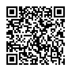 骑在马背上观战的张起澜摸了摸下巴有些跃跃欲试的笑道二维码生成
