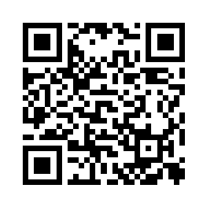 高度精密的社会结构二维码生成