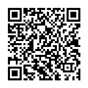 高扬从左臂上的外兜里掏出了一个三防的终端智能电子显示器二维码生成