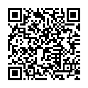 高扬非常乐意去为阿库里部落的女人们猎杀足够大吃一顿的猎物二维码生成