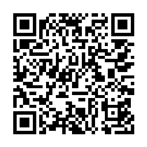 高掌门和高长老的谈话被江帆的千里耳术听到了二维码生成