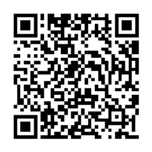 高阶的高手……那……都是传说中的存在啊……二维码生成