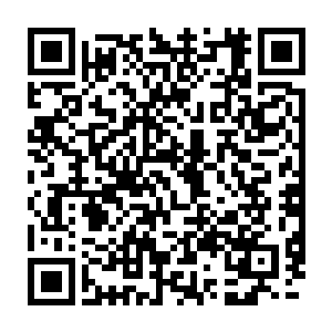 高高坐在上位的正是太子殿下……太子殿下一直暗中与晋王殿下竞争二维码生成