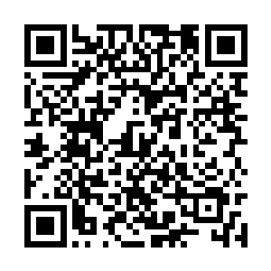 鬼域的强者都被他的五彩灵蛇死死的困住不能动弹二维码生成