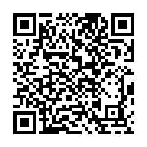 鲁新萍走到了儿子的椅子旁边伸手在贝海的背上拍了一下二维码生成