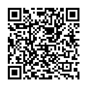 鳄蛟岛上却突然发生了一件谁也没有预料到的事情二维码生成