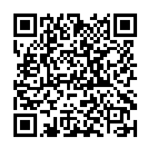 麻子他们也都吓得连忙退到后面穿美邦那男人身边了二维码生成