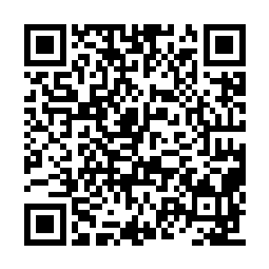 黄鳞带着不可思议的目光看着叶枫即将离开酒馆二维码生成