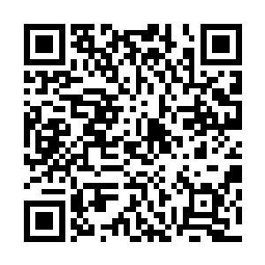 黎未未听了伸手连续的指了一下两个小娃儿胖手中的小树枝二维码生成