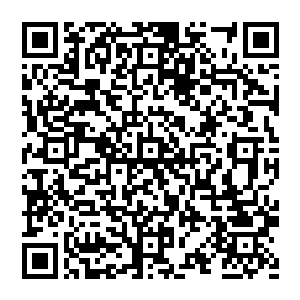 黎未未靠着丈夫的肩膀两人坐到了沙发上就这么依偎在了一起说了几句孩子之后就开始安静了下来二维码生成