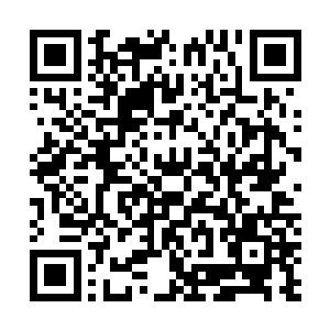 黑市有消息流出说林烽从圣地拿走了一个十分强大的宝贝二维码生成