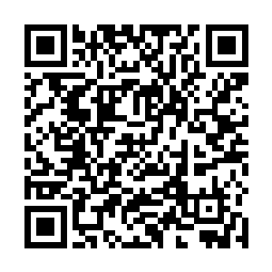黑暗复仇者将会在本次副本完结后的下次副本随机出现二维码生成