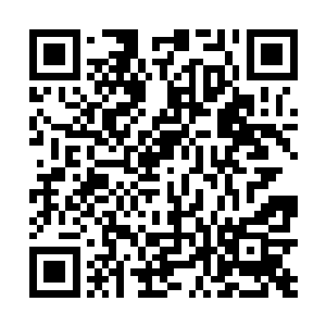 黑暗性质极浓的骷髅会在学校根本没办法完全发展起来二维码生成