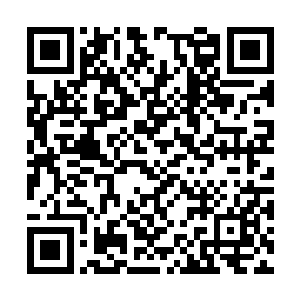 黑网会自动离开蛇派去他所讲的几个门派传递讯息二维码生成