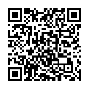 黑色的小甲虫飞到了那两道战气狼烟交手区域的下方二维码生成