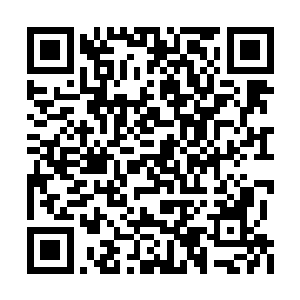 黑骨林学院会出现导师数目多过学生的情况……二维码生成