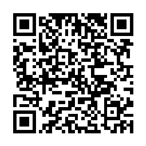 黑龙和木森率领着修士向着这边冲破了重重风暴而来二维码生成