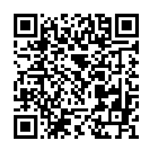 黑龙学府老大的真正秘密是涉及到强大的力量的二维码生成