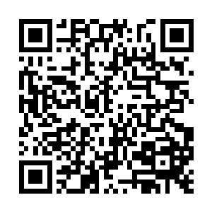 黛娜你以前在黑炎城的时候有没有见过那个人……二维码生成