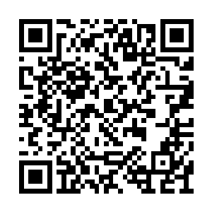 齐一铭对着身边和自己一块打理内脏的马特问道二维码生成