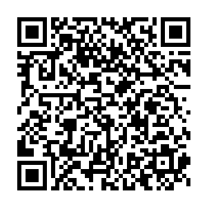 齐家保护着齐飞的保镖　足足有四十多个　其中更是有一个十级佣兵二维码生成