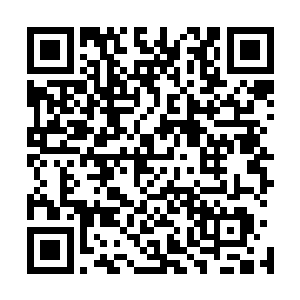 齐家的绝大多数的资产都已经通过拍卖掌控在了自己的手中二维码生成