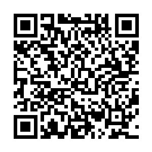 龙傲天一愣顿时看了出来原来山姆一直都在打自己的主意啊二维码生成