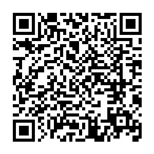 龙傲天也曾经尝试着利用紫明月利用他们的灵魂玉简给他们传递一些信息二维码生成