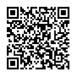 龙傲天又不能任这夜明珠就这样附着在这贝壳之上二维码生成