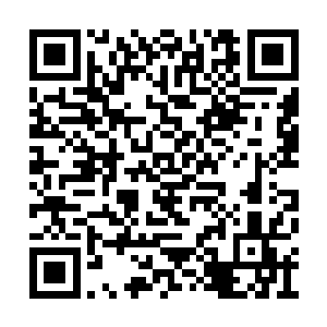 龙傲天发现自己之前原本留下的禁制已经消失了二维码生成