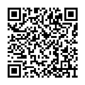 龙傲天可是能够感应到这恐怖的万千银芒的恐怖二维码生成