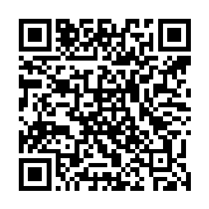 龙傲天的几个分身身上的气息竟然跟本尊没有丝毫的区别二维码生成